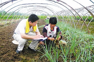 農(nóng)村基礎(chǔ)知識(shí)大學(xué)生村官
