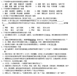 高考語文基礎(chǔ)知識訓練營