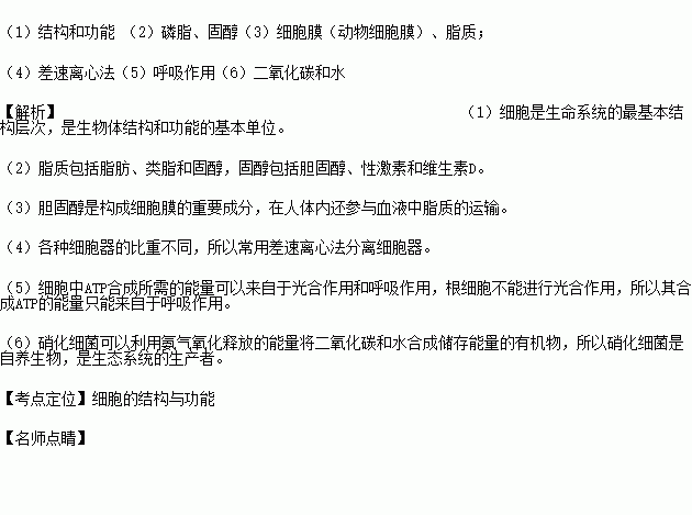 藥化基礎(chǔ)知識填空