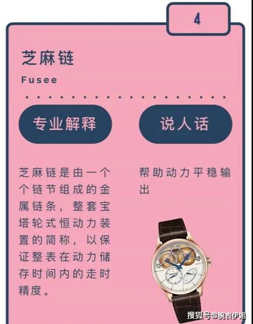 手表基礎(chǔ)知識_百度文庫