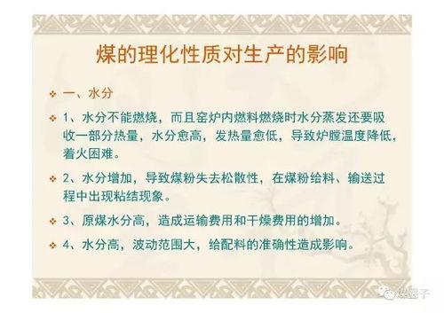 煤質(zhì),幻燈片,基礎(chǔ)知識