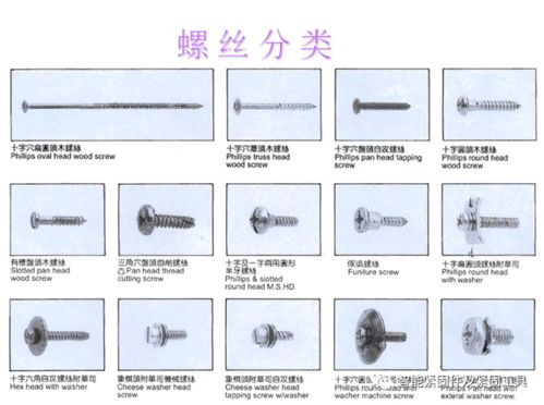 汽車標(biāo)準(zhǔn)件基礎(chǔ)知識(shí),英語語法基礎(chǔ)知識(shí)大全,初中英語語法基礎(chǔ)知識(shí)大全