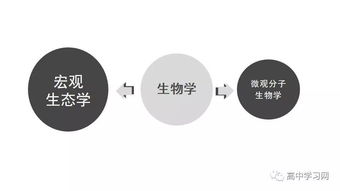 高中生命科學(xué)基礎(chǔ)知識(shí)自查