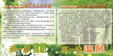 綠化常識及基礎(chǔ)知識