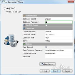 oracle數(shù)據(jù)庫(kù)需要什么基礎(chǔ)知識(shí)