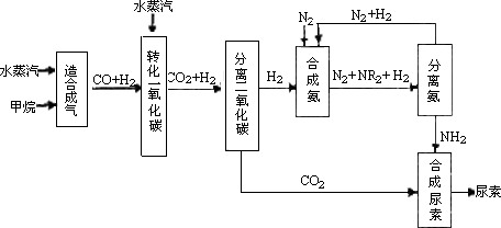 靈活運(yùn)用基礎(chǔ)知識的能力差