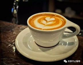 咖啡文化基本知識(shí),咖啡的基礎(chǔ)知識(shí),學(xué)咖啡的基礎(chǔ)知識(shí)