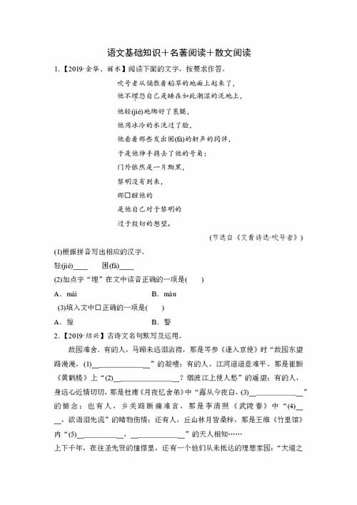 基礎(chǔ)知識,中考,測試卷,語文