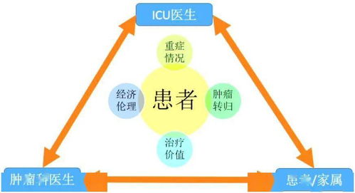 大夫,基礎(chǔ)知識,懂得,icu