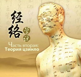 十二經(jīng)絡(luò)的基礎(chǔ)知識(shí)和調(diào)理