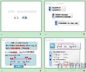 基礎(chǔ)知識,函數(shù),課件