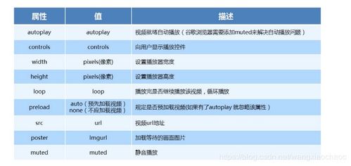 html基本基礎知識