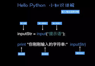 pythod基礎(chǔ)知識