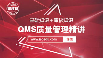 qms基礎(chǔ)知識包括
