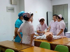 夯實(shí),理論知識,基礎(chǔ),護(hù)理專業(yè)