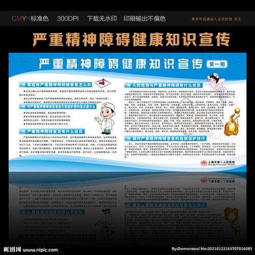 嚴(yán)重精神障礙基礎(chǔ)知識培訓(xùn)資料