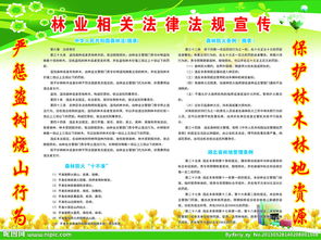 林業(yè)法律基礎(chǔ)知識