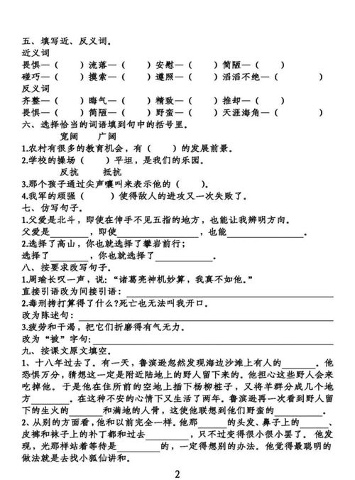 卷子,下冊(cè),六級(jí),基礎(chǔ)知識(shí)