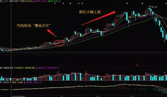 股票選股基礎(chǔ)知識(shí)