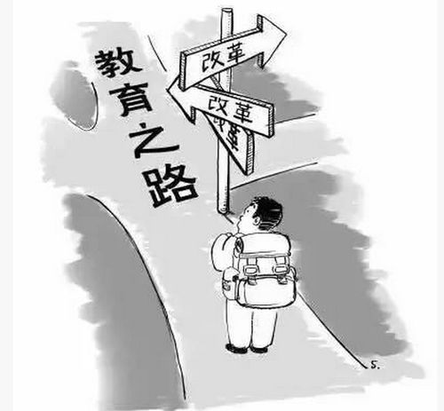 美國大基礎(chǔ)教育性知識大全