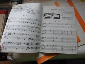 小湯普森2基礎(chǔ)知識點