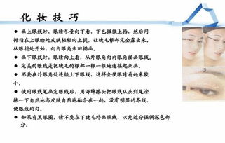 護膚品的基礎知識,護膚品基礎知識培訓,皮膚基礎知識課件PPT