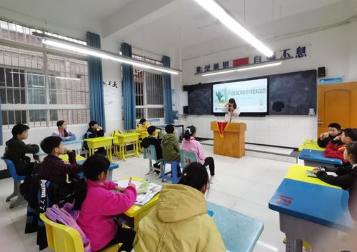 宜賓,基礎(chǔ)知識,教育