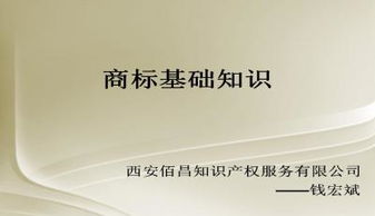 商標法基礎(chǔ)知識ppt
