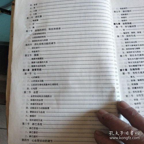 正常人人體基礎知識點