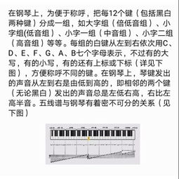 鋼琴基礎(chǔ)知識介紹