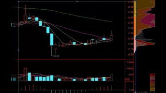 股票入基礎(chǔ)知識