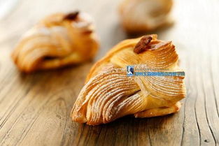 面包基礎知識txt