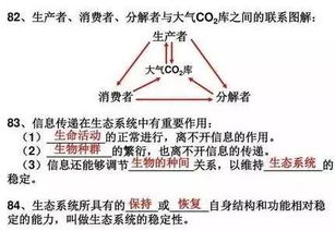 體育課教訓目的要求教材重難點基礎知識訓練