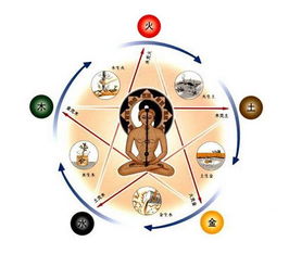 五臟的基礎(chǔ)知識(shí)