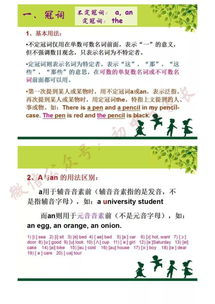 初中英語(yǔ)教師本專業(yè)基礎(chǔ)知識(shí)