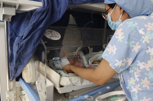 高危孕產(chǎn)婦基礎(chǔ)知識