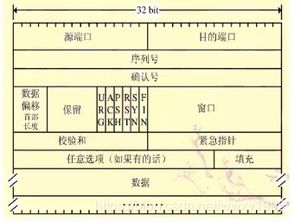 基礎(chǔ)知識,服務(wù)器,web,html