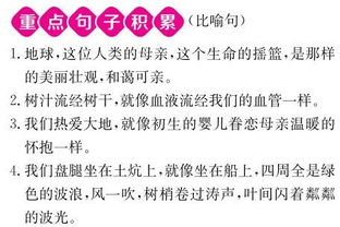 人教版,基礎(chǔ)知識,語文,競賽題