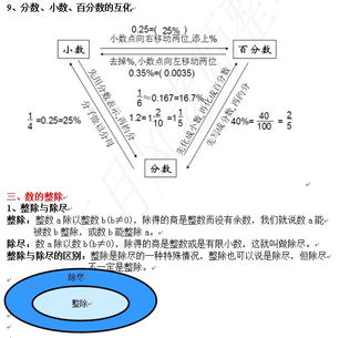 基礎(chǔ)知識(shí),檢測(cè),小升初