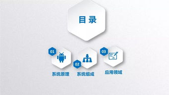 安檢五級基礎(chǔ)知識