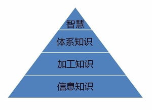 什么的知識基礎