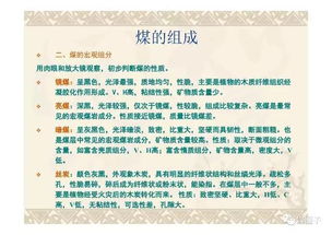 往復(fù)式壓縮機(jī)的基礎(chǔ)知識幻燈片,煤質(zhì)化驗基礎(chǔ)知識,煤質(zhì)化驗員的基礎(chǔ)知識