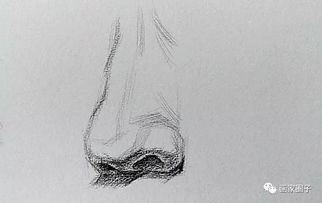 素描初學(xué)者應(yīng)該掌握什么基礎(chǔ)知識