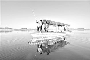 白洋淀紀事基礎(chǔ)知識