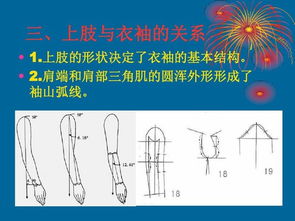 基礎(chǔ)知識,課件,結(jié)構(gòu),服裝