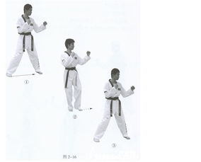 跆拳道訓(xùn)練基礎(chǔ)知識有哪些