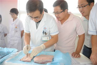 普外科基礎知識培訓