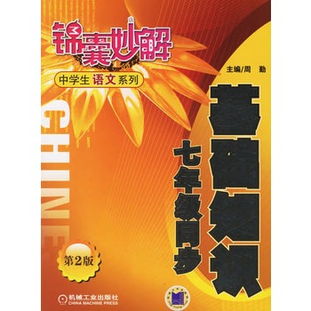 7級武術基礎知識介紹