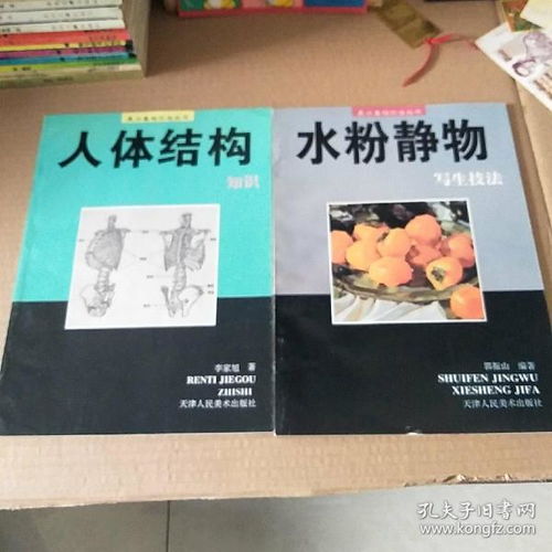 美術(shù)基礎(chǔ)知識書