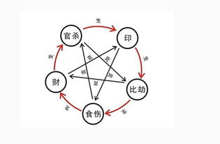 神相知識基礎(chǔ)